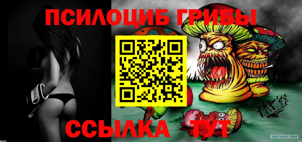 Галлюциногенные грибы Psilocybe  Вход с VPN  Прокопьевск 